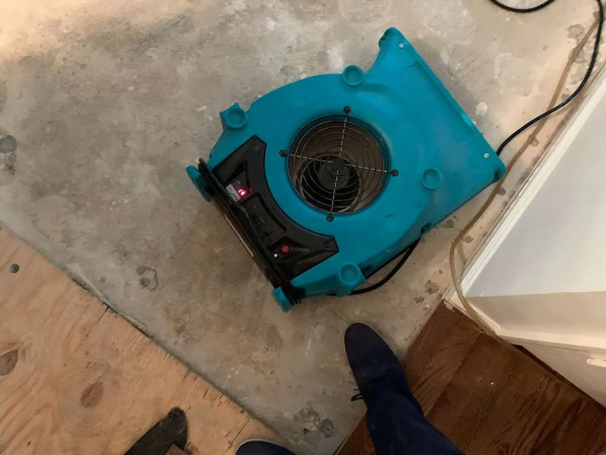 Air mover drying subfloor during Commercial Water Damage Restoration in Orlovista